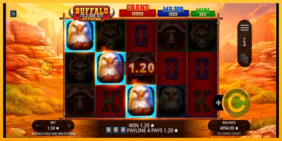 Buffalo Hold and Win Extreme macchina da gioco per soldi, immagine 3