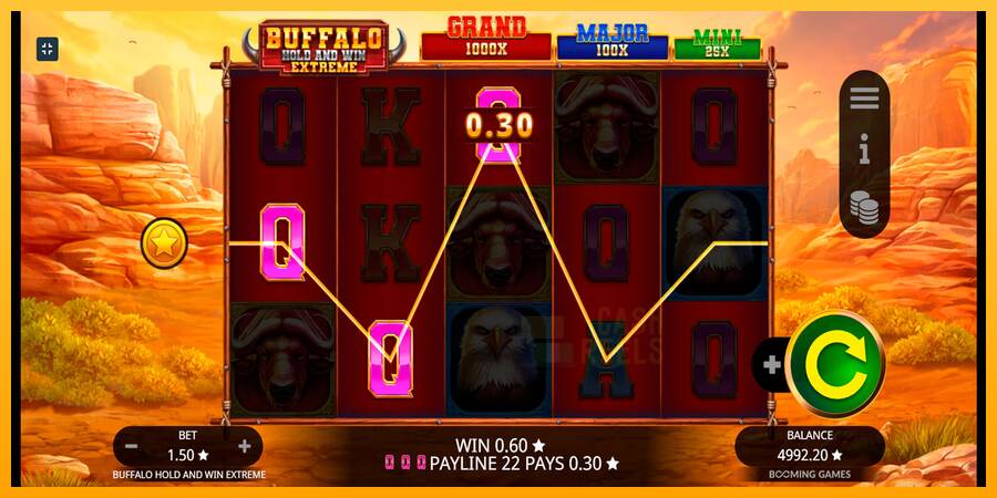 Buffalo Hold and Win Extreme macchina da gioco per soldi, immagine 4