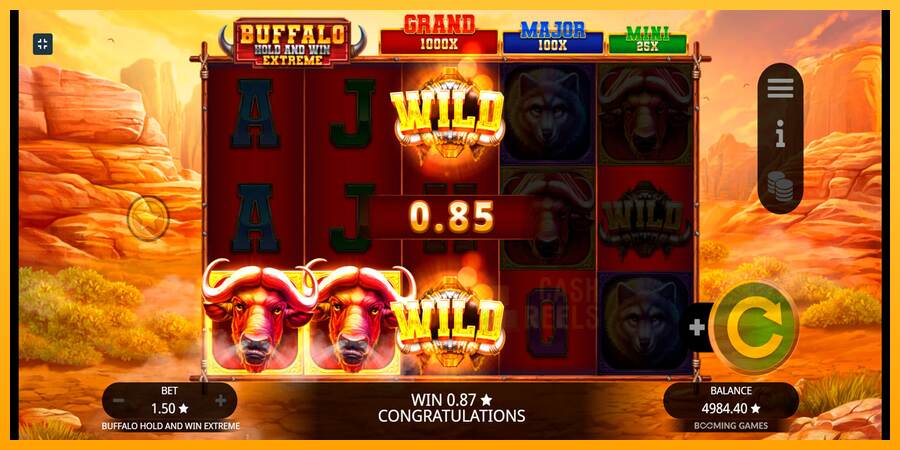 Buffalo Hold and Win Extreme macchina da gioco per soldi, immagine 6