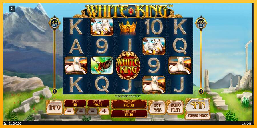 White King macchina da gioco per soldi, immagine 1