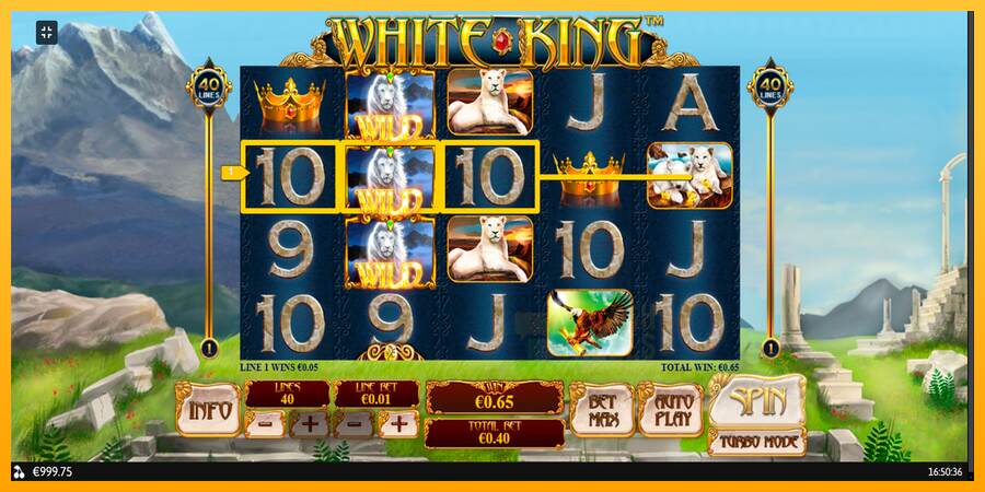 White King macchina da gioco per soldi, immagine 3