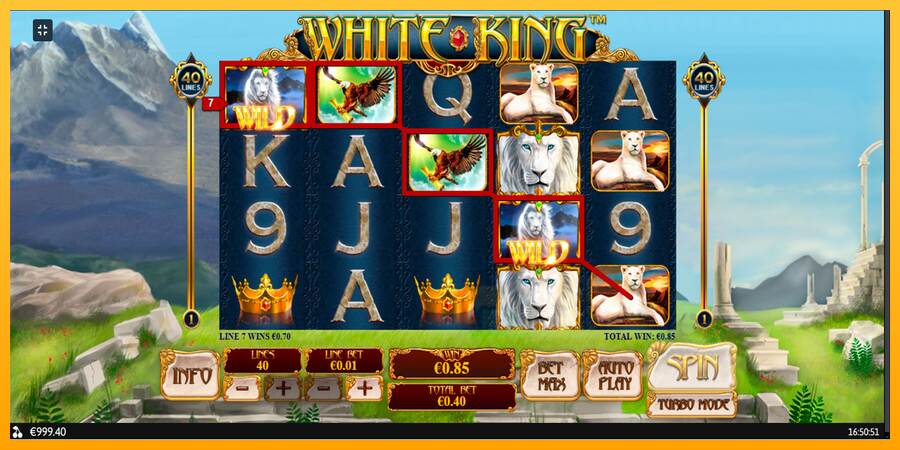 White King macchina da gioco per soldi, immagine 4