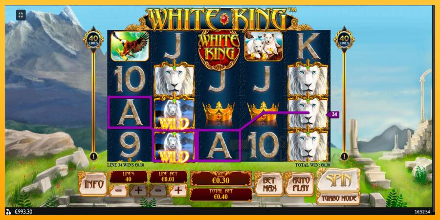 White King macchina da gioco per soldi, immagine 9