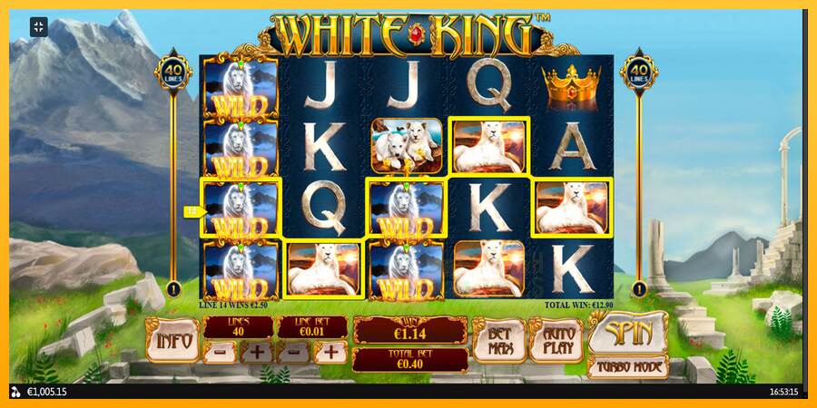 White King macchina da gioco per soldi, immagine 11