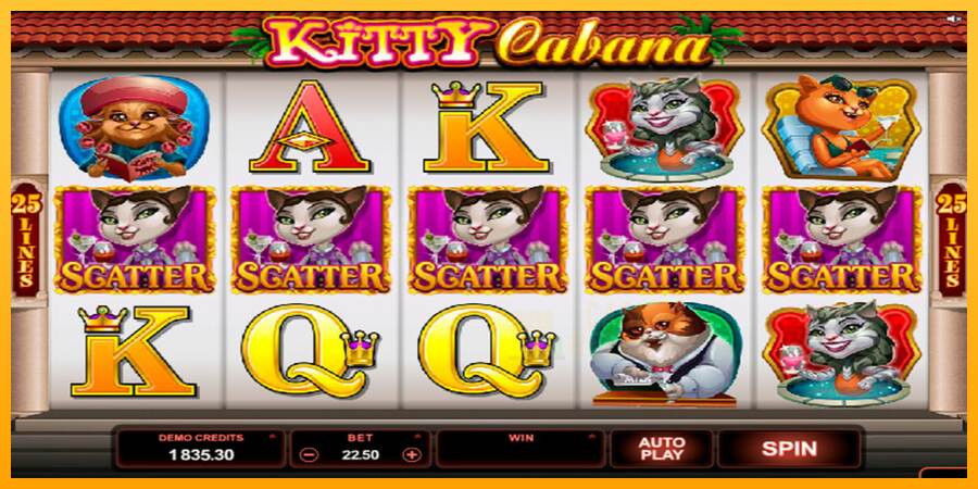 Kitty Cabana macchina da gioco per soldi, immagine 1