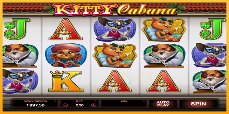 Kitty Cabana macchina da gioco per soldi, immagine 2