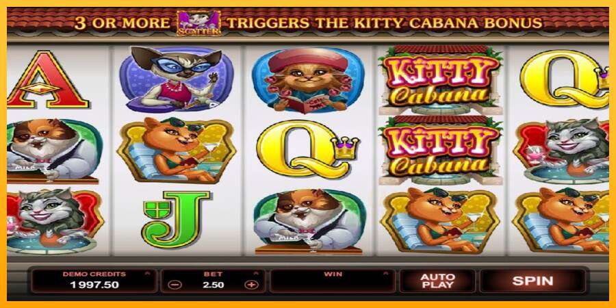 Kitty Cabana macchina da gioco per soldi, immagine 3