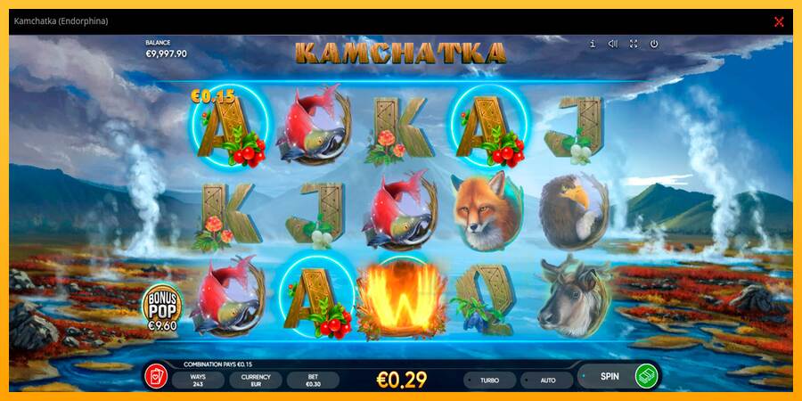 Kamchatka macchina da gioco per soldi, immagine 1