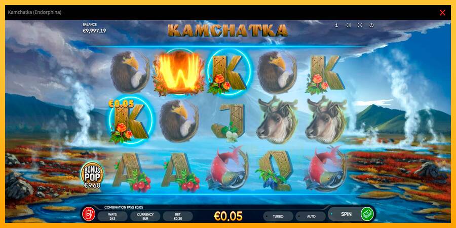 Kamchatka macchina da gioco per soldi, immagine 2