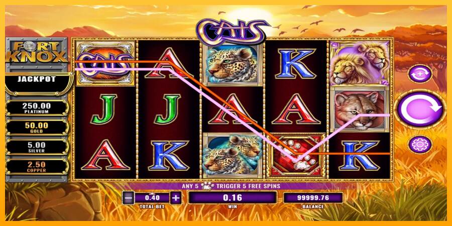 Fort Knox Cats macchina da gioco per soldi, immagine 2