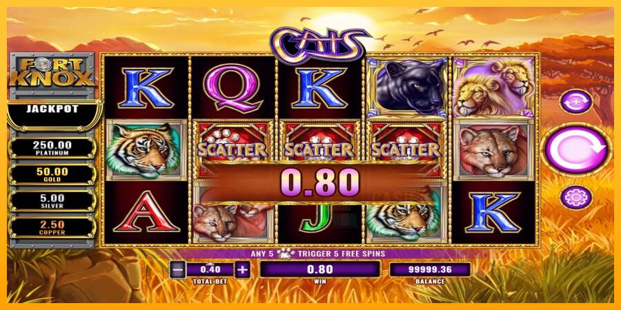 Fort Knox Cats macchina da gioco per soldi, immagine 3