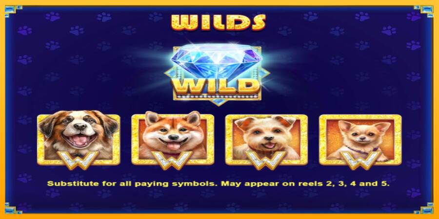 Diamond Doggies macchina da gioco per soldi, immagine 6