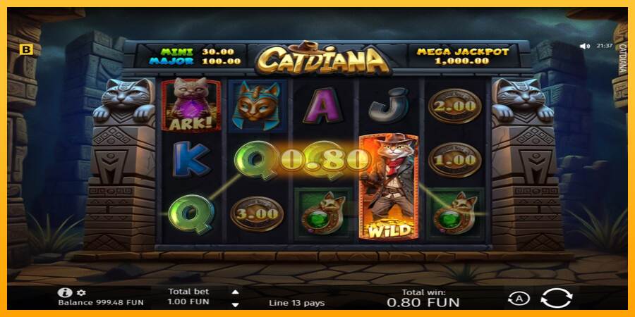 Catdiana macchina da gioco per soldi, immagine 2