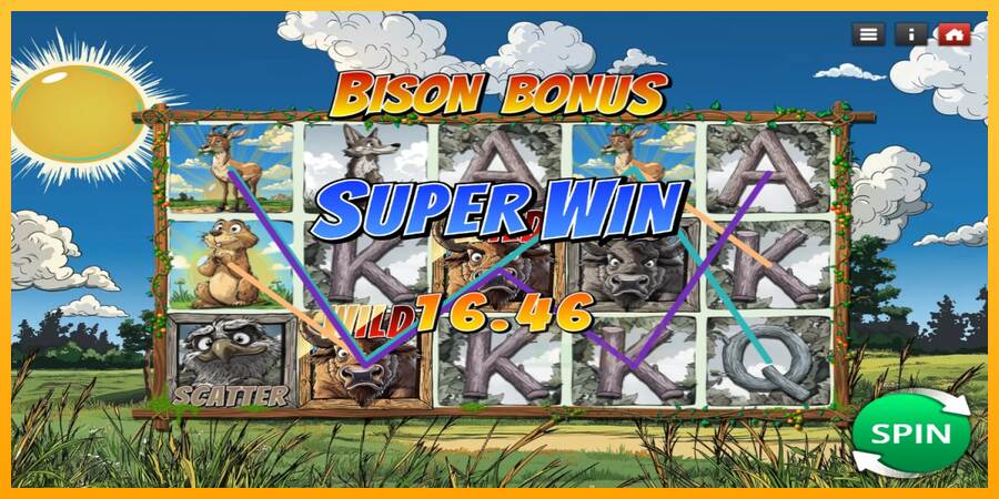 Bison Bonus macchina da gioco per soldi, immagine 3