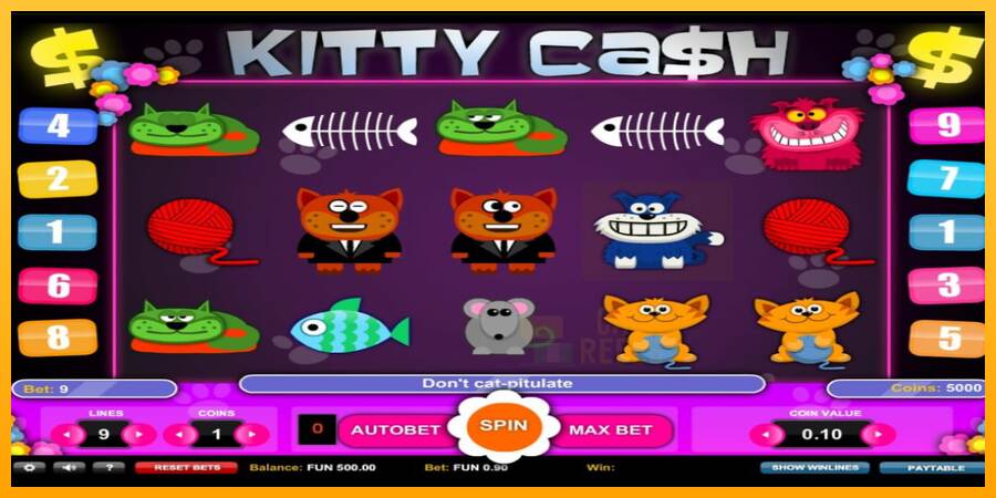 Kitty Cash macchina da gioco per soldi, immagine 1