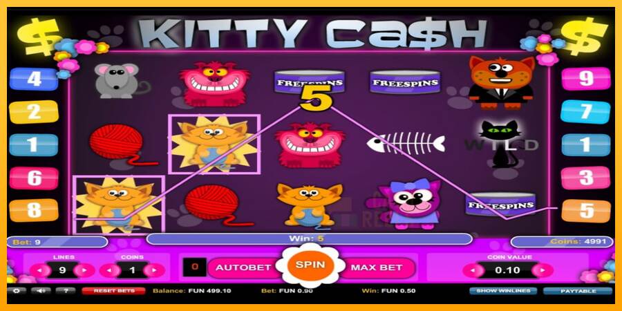 Kitty Cash macchina da gioco per soldi, immagine 3