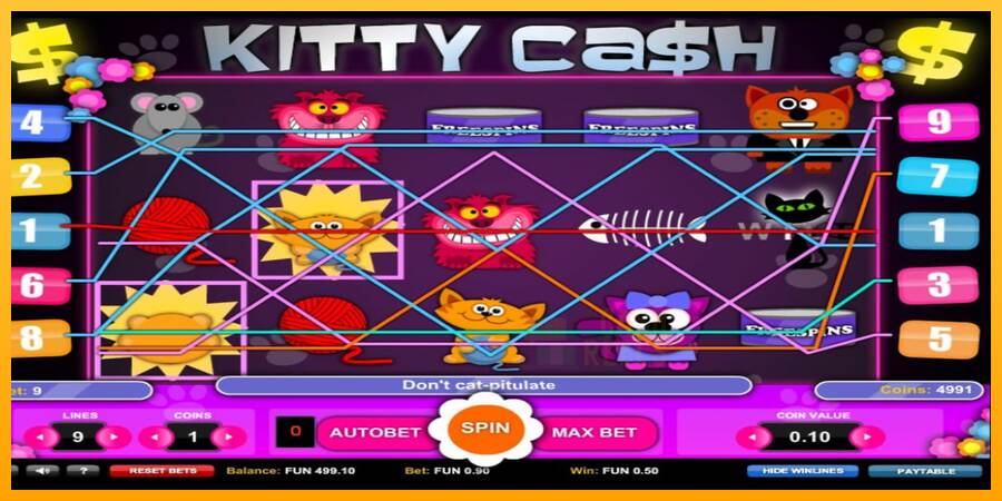 Kitty Cash macchina da gioco per soldi, immagine 4