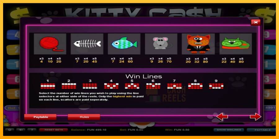 Kitty Cash macchina da gioco per soldi, immagine 6