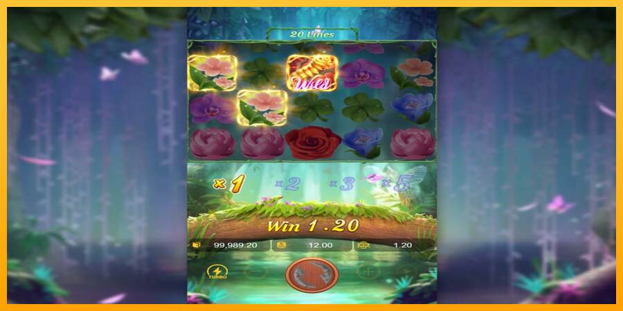 Butterfly Blossom macchina da gioco per soldi, immagine 3