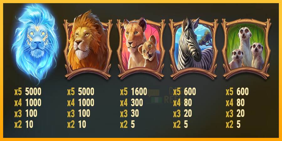 Lion Saga Odyssey macchina da gioco per soldi, immagine 5