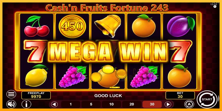 Cashn Fruits Fortune 243 macchina da gioco per soldi, immagine 3