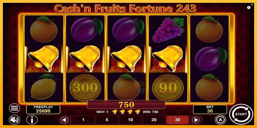 Cashn Fruits Fortune 243 macchina da gioco per soldi, immagine 5