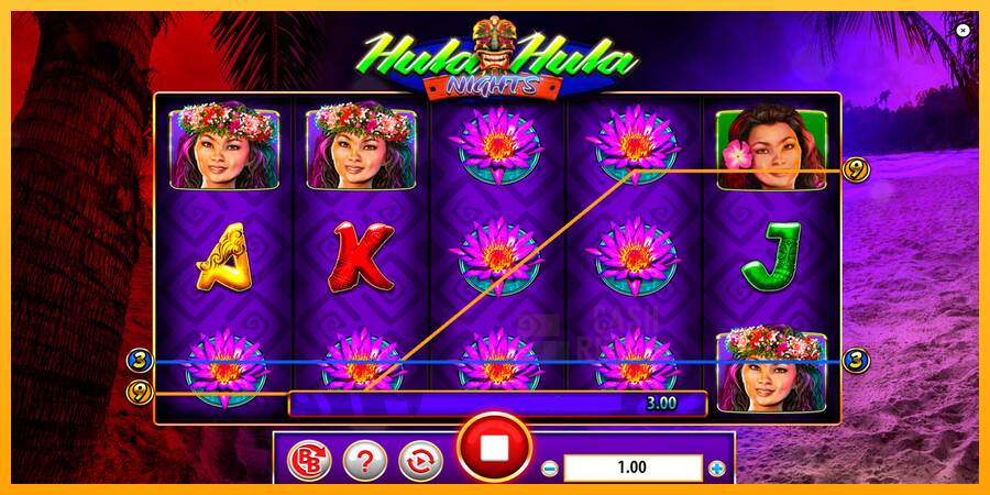 Hula Hula Nights macchina da gioco per soldi, immagine 2