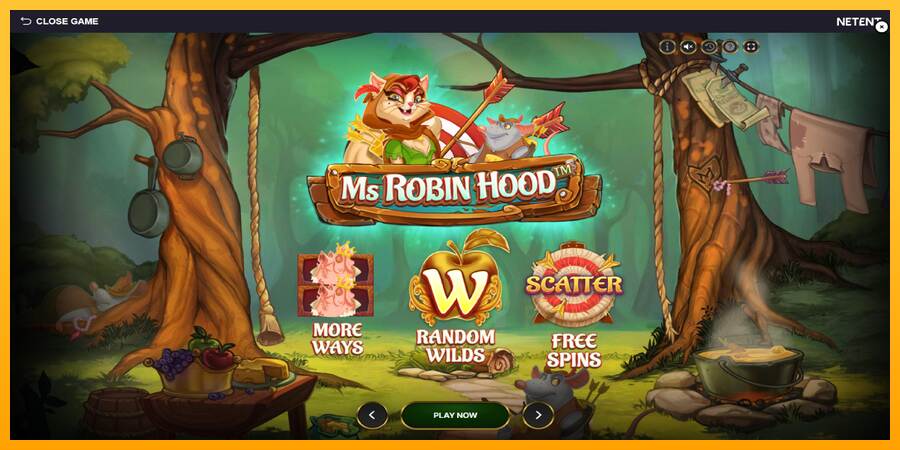 Ms Robin Hood macchina da gioco per soldi, immagine 1