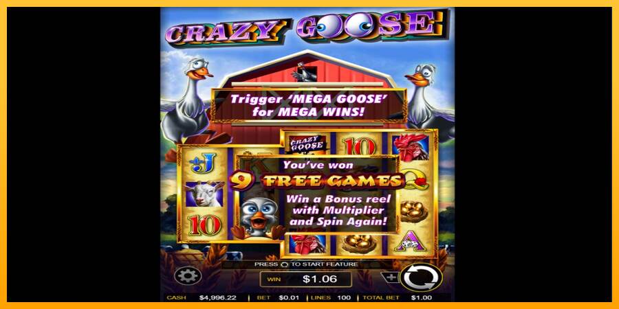 Crazy Goose macchina da gioco per soldi, immagine 3