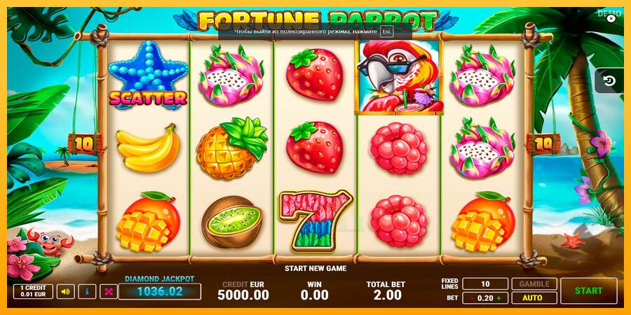 Fortune Parrot macchina da gioco per soldi, immagine 1