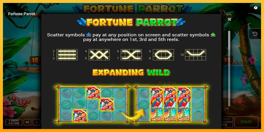 Fortune Parrot macchina da gioco per soldi, immagine 7