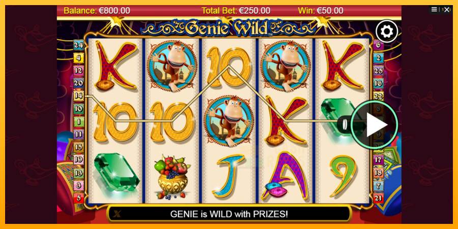 Genie Wild macchina da gioco per soldi, immagine 2